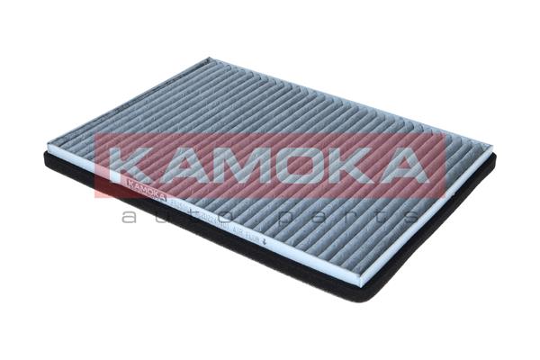 Filter, interior air - F525301 KAMOKA