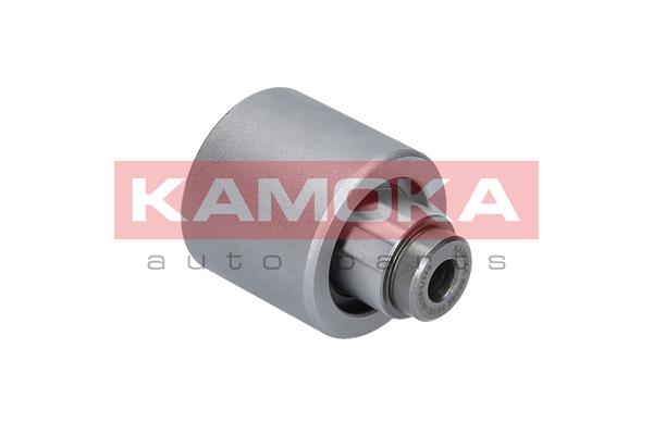kreipiantysis skriemulys, paskirstymo diržas - R0209 KAMOKA