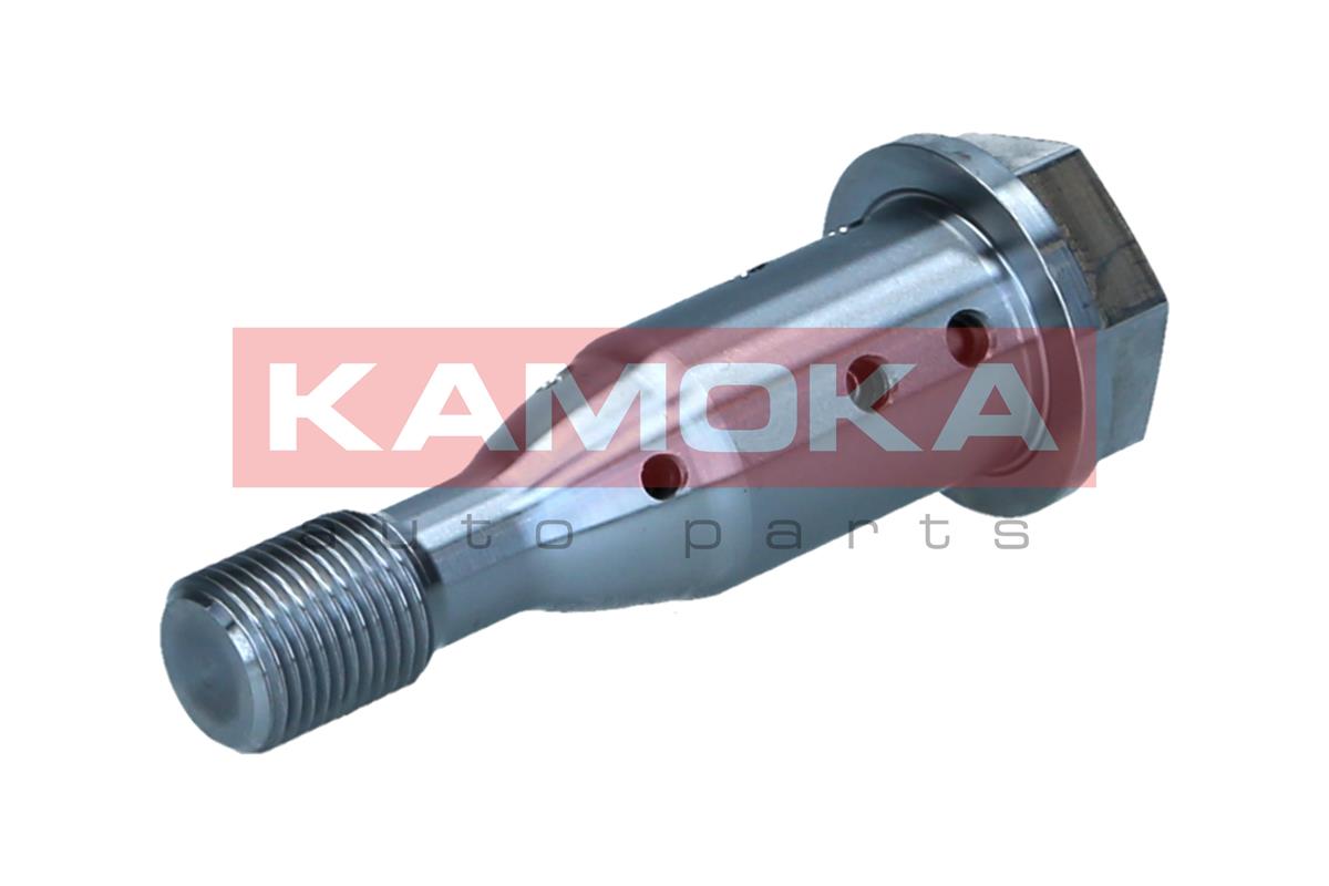 Control Valve, camshaft adjustment - RA060 KAMOKA