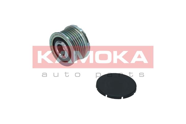 Dispositivo ruota libera alternatore - RC138 KAMOKA