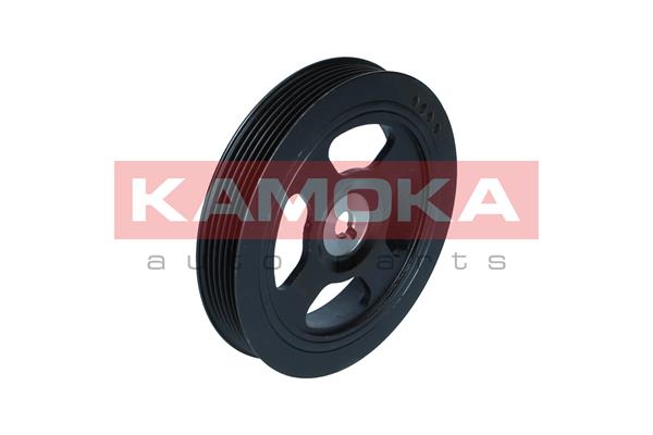 skriemulys, alkūninis velenas - RW100 KAMOKA