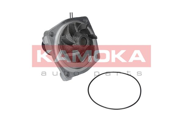Pompa acqua - T0006 KAMOKA