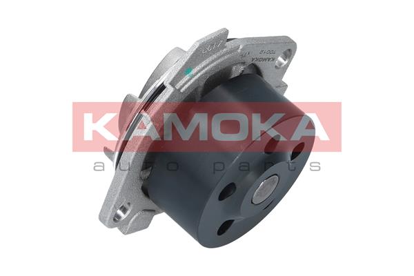 Water Pump - T0012 KAMOKA