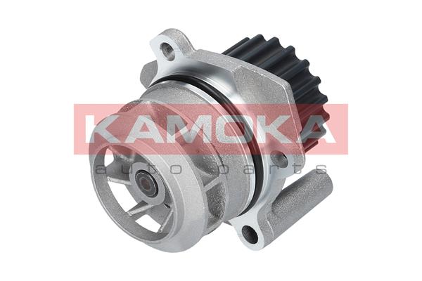 Pompa acqua - T0020 KAMOKA