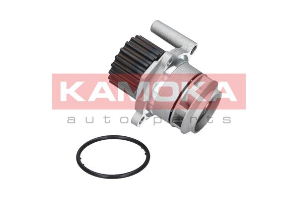 Pompa acqua - T0023 KAMOKA