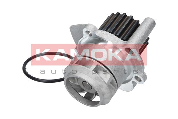 Pompa acqua - T0023 KAMOKA