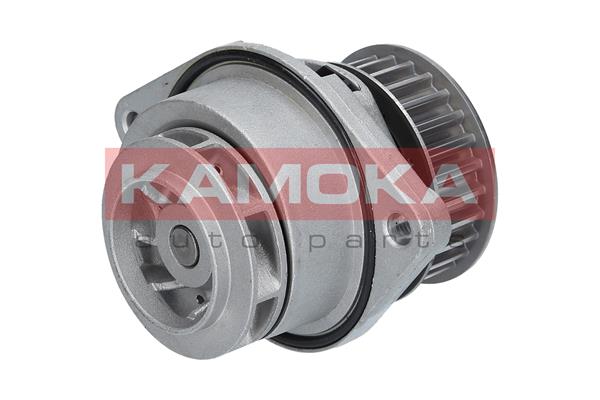 Pompa acqua - T0024 KAMOKA