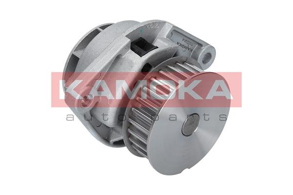 Water Pump - T0024 KAMOKA
