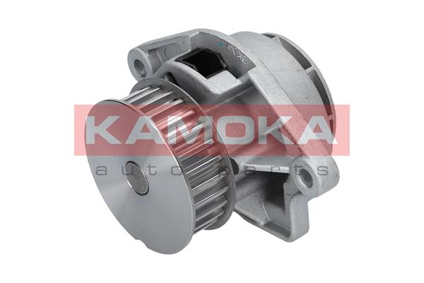 Water Pump - T0024 KAMOKA