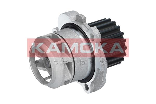 Pompa acqua - T0025 KAMOKA