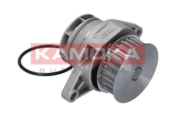 Water Pump - T0026 KAMOKA