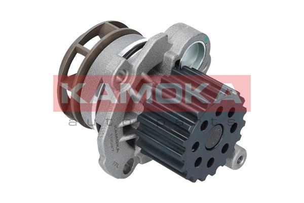Pompa acqua - T0027 KAMOKA