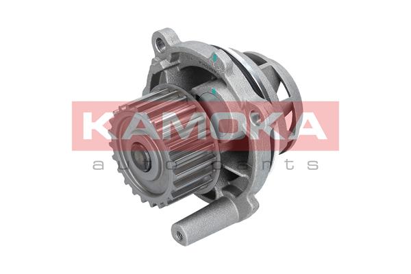 Pompa acqua - T0028 KAMOKA