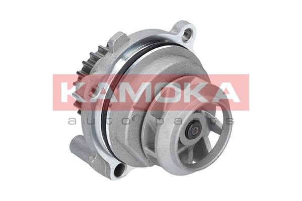Pompa acqua - T0028 KAMOKA