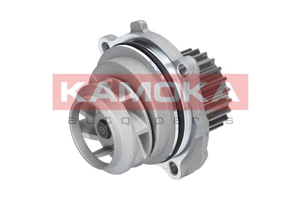 Pompa acqua - T0028 KAMOKA