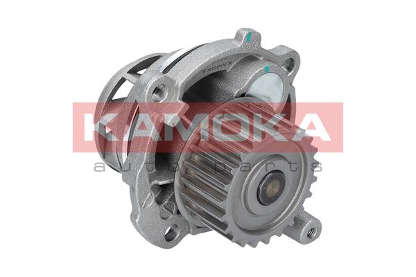 Pompa acqua - T0028 KAMOKA
