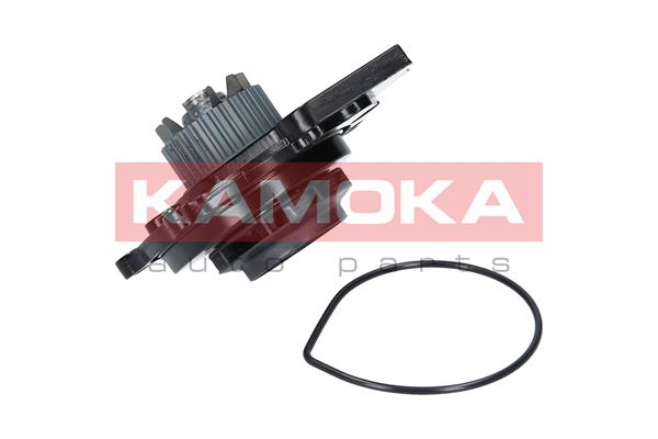 Water Pump - T0031 KAMOKA