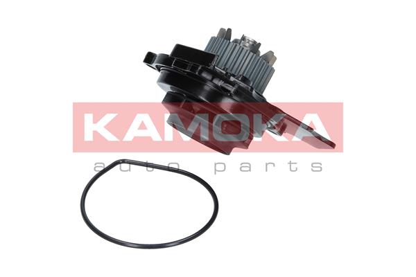 Water Pump - T0031 KAMOKA