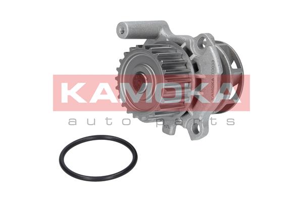 Водяной насос - T0033 KAMOKA
