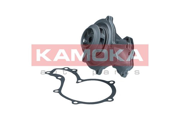 Pompa acqua - T0037 KAMOKA