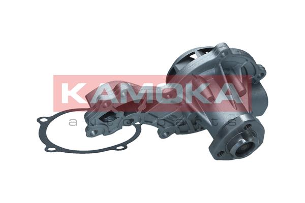 Pompa acqua - T0037 KAMOKA