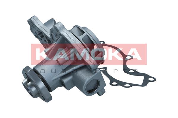 Pompa acqua - T0037 KAMOKA