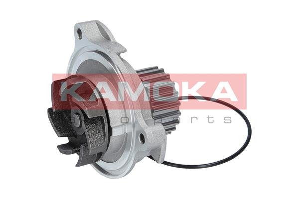 Pompa acqua - T0042 KAMOKA
