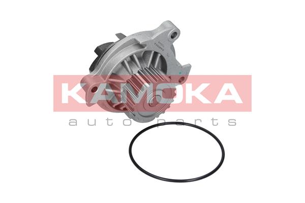 Pompa acqua - T0042 KAMOKA