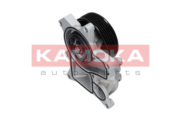Water Pump - T0048 KAMOKA