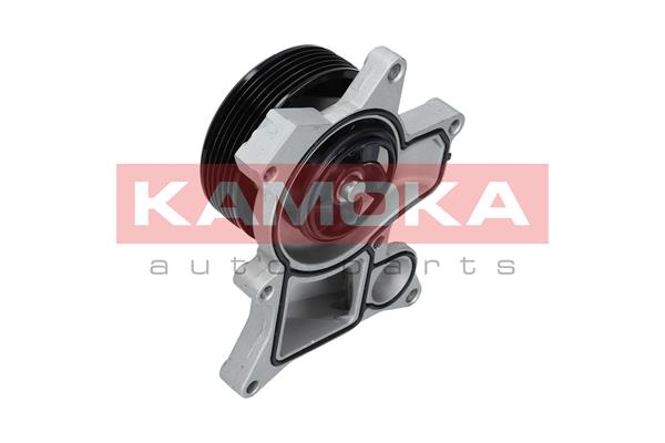 Water Pump - T0048 KAMOKA