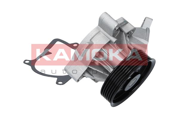 Water Pump - T0053 KAMOKA