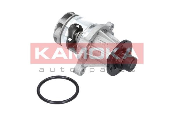 Pompa acqua - T0056 KAMOKA