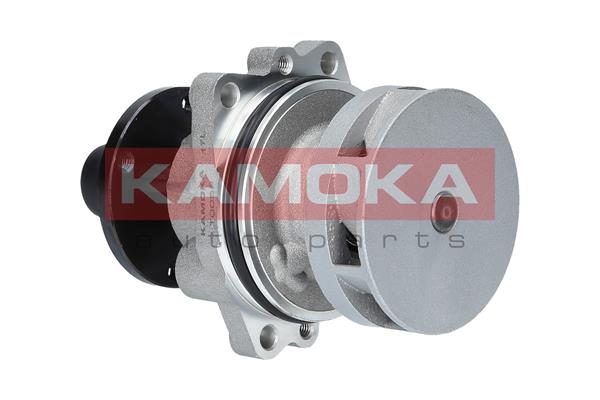 Pompa acqua - T0058 KAMOKA