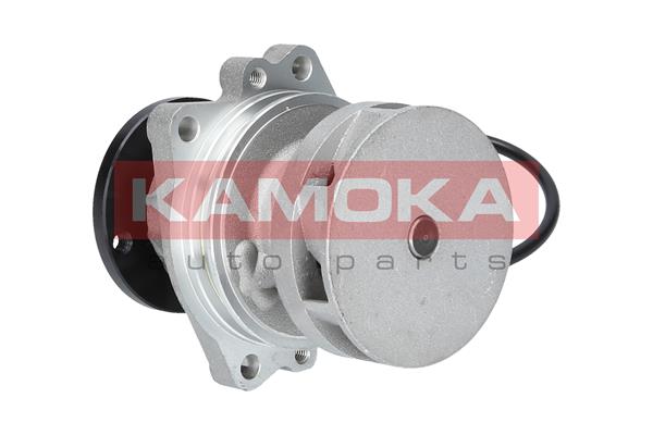 Water Pump - T0059 KAMOKA