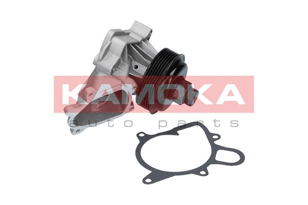 Pompa acqua - T0060 KAMOKA