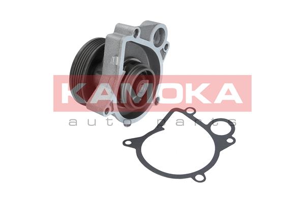 Water Pump - T0061 KAMOKA