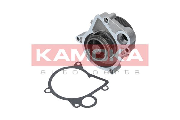 Water Pump - T0061 KAMOKA