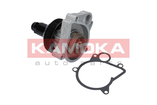 vandens siurblys - T0062 KAMOKA