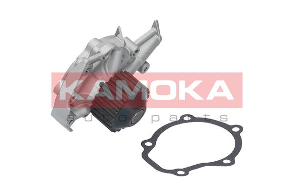 vandens siurblys - T0065 KAMOKA