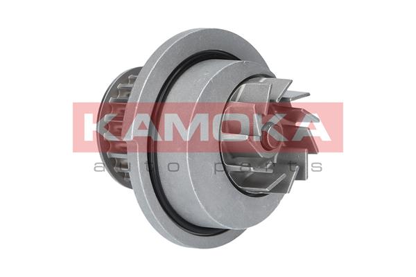 vandens siurblys - T0070 KAMOKA