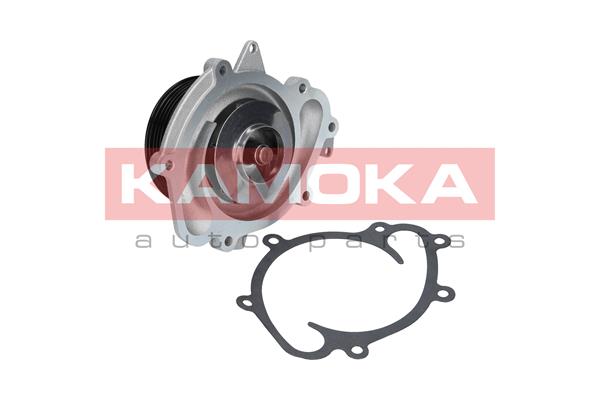 vandens siurblys - T0073 KAMOKA