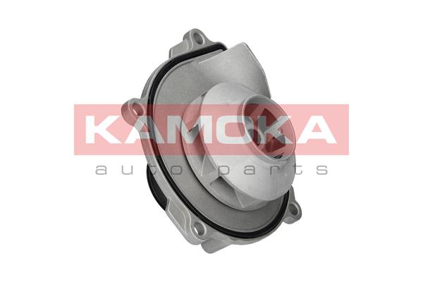 vandens siurblys - T0074 KAMOKA