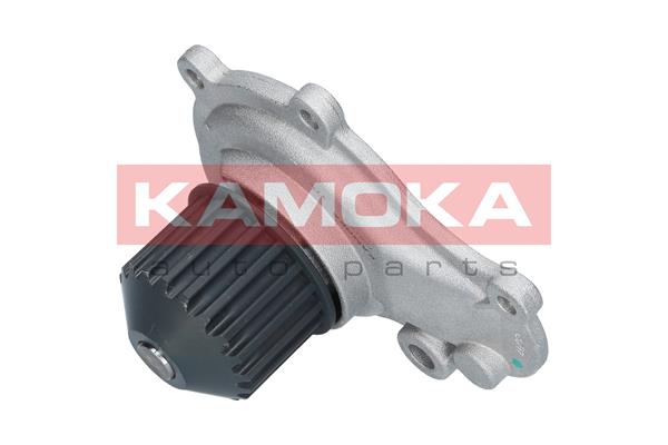 Water Pump - T0076 KAMOKA