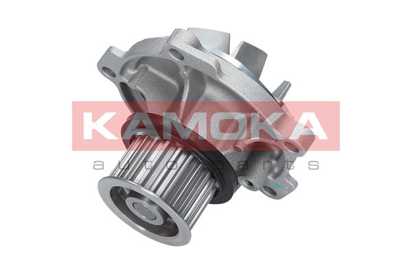 Water Pump - T0077 KAMOKA