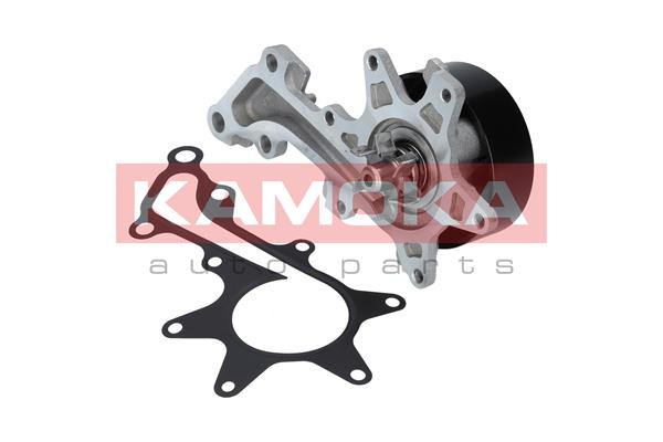 Водяной насос - T0109 KAMOKA