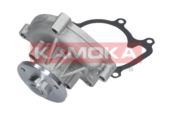 Water Pump - T0110 KAMOKA