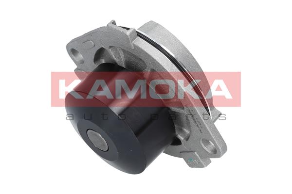 Water Pump - T0111 KAMOKA