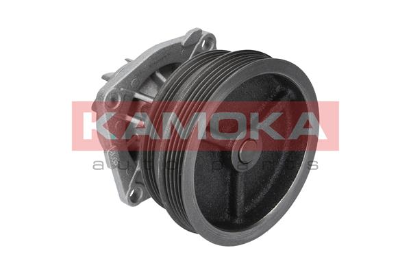 Water Pump - T0112 KAMOKA