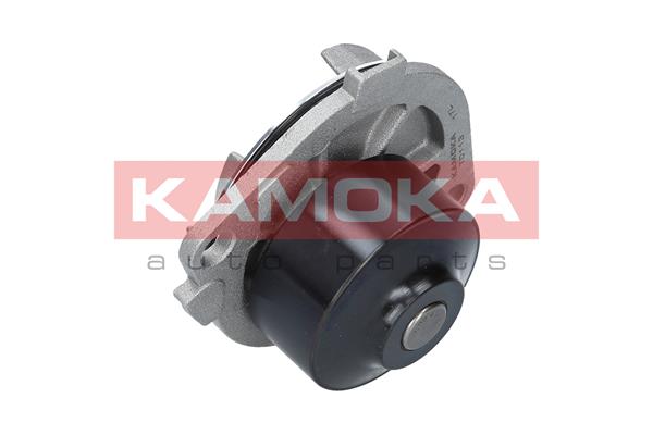 Water Pump - T0113 KAMOKA