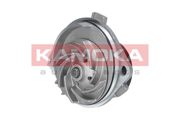 Water Pump - T0113 KAMOKA